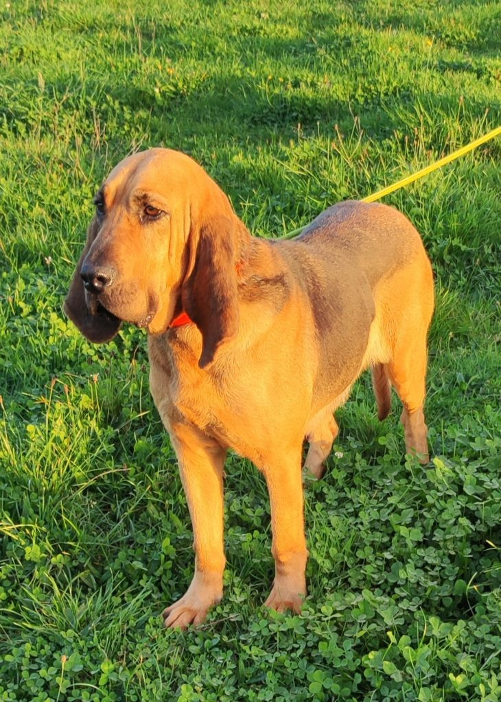 Rita des des menthes sauvages